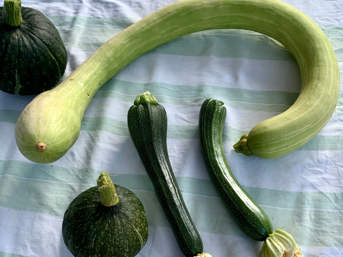 The March tromboncino